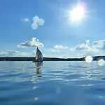 - Gruen Lindau (Bodensee)