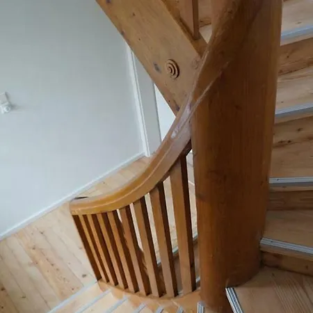 Apartment - Grün